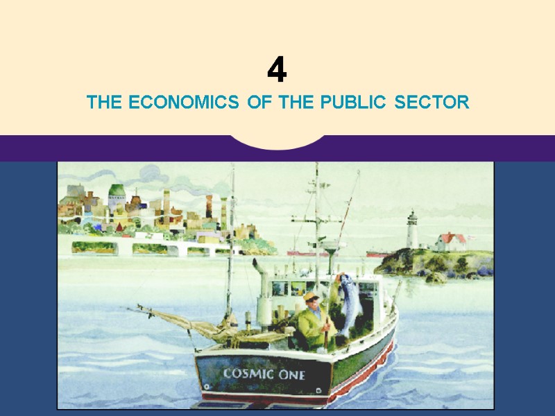 4  THE ECONOMICS OF THE PUBLIC SECTOR